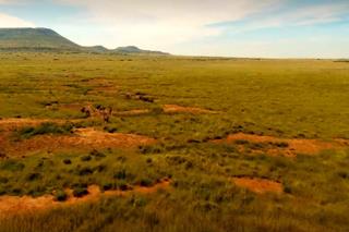  Bedroom Property for Sale in Fauresmith Rural Free State